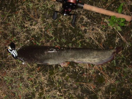 新規開拓で爆釣