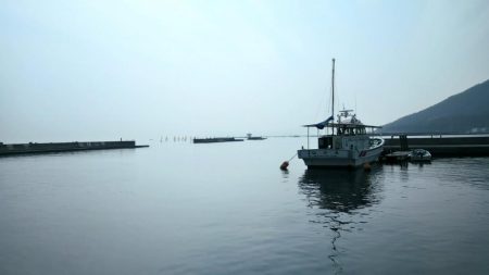 全体的に新子が多いです。