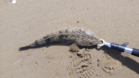 とりあえずヒット！