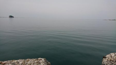 マハタ釣れたちいさいけど