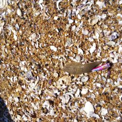 雨上がりのサーフ