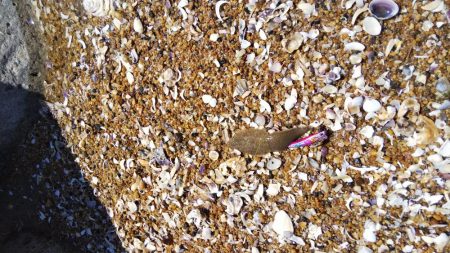 雨上がりのサーフ