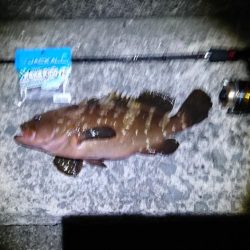 大物高級魚！！