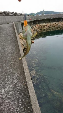 ライトワインド