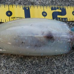 やっと春が来ました