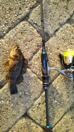 またもや南芦屋浜メバリング