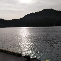 やっぱり楽しい