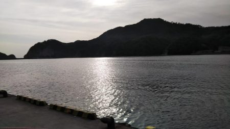 やっぱり楽しい