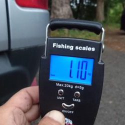 朝と夕方短時間エギング