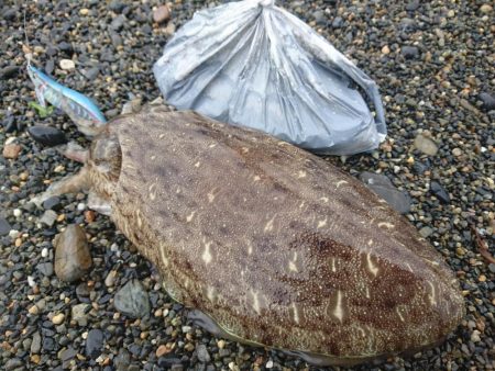 日中のサーフでキロアップGET