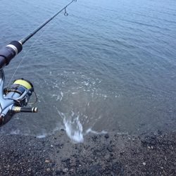 安定のカミナリ