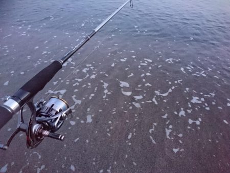 安定のモンゴウ