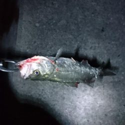 スランプ脱出！？