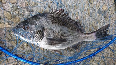 ゴールデンウィーク釣行2日目