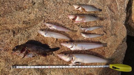 キスはどうやろ?