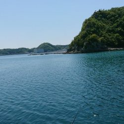 大物リベンジ！