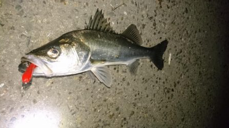 なんかイマイチ