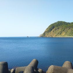 久しぶりのアジング