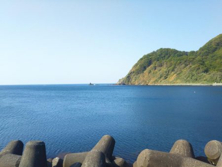 久しぶりのアジング