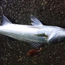 スローに誘って