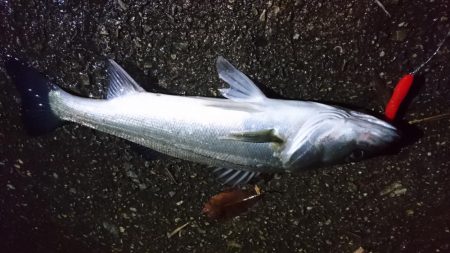 スローに誘って