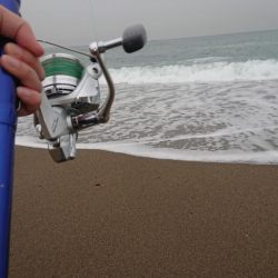 キス釣りスタート