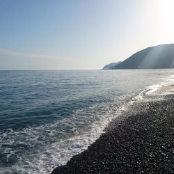 生命反応薄い！