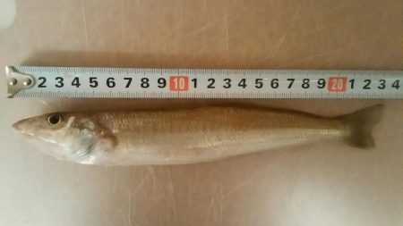 今年初キスがデカい！