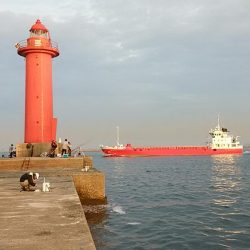 ＧＷラスト釣行