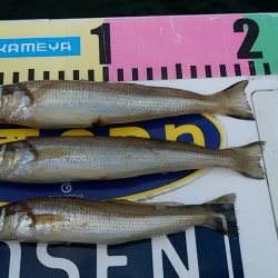 雨の志筑でキス狙い