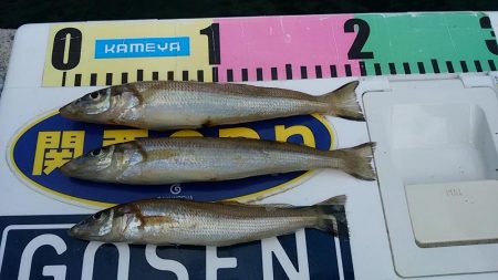 雨の志筑でキス狙い