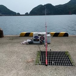 津居山港で撃沈し柴山港へ