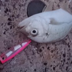 ちょっと渋い３バイト１ヒット