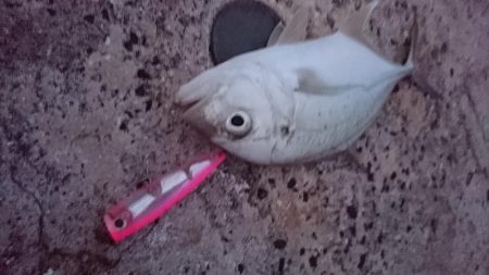 ちょっと渋い３バイト１ヒット