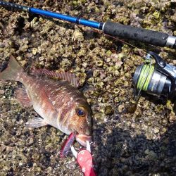 リーフエンドでルアーフィッシング