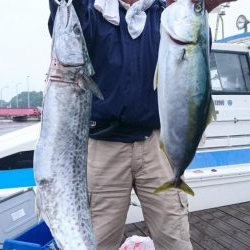 5/6 落とし込み五目