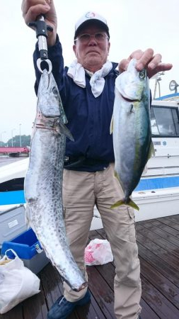 5/6 落とし込み五目