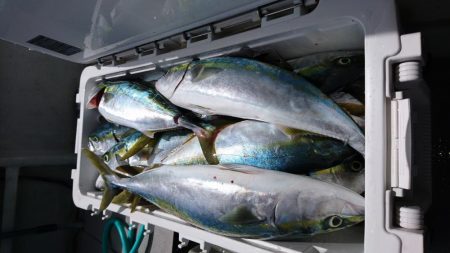 5/19 落とし込み調査