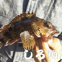 病み上がり、リハビリの釣り。