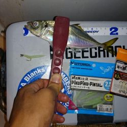 ボートアジング