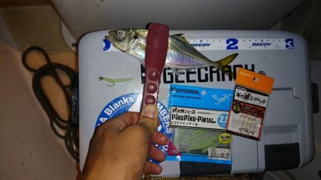 ボートアジング