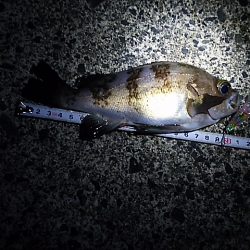 1日で状況は変わる