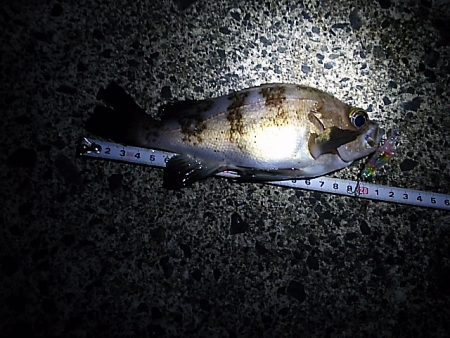 1日で状況は変わる