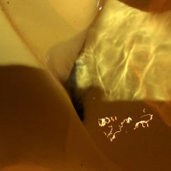 ありゃりゃ？メバリング