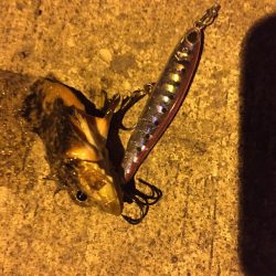 深夜のライトゲーム