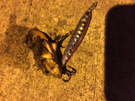 深夜のライトゲーム