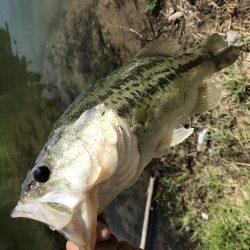 津風呂バス！！