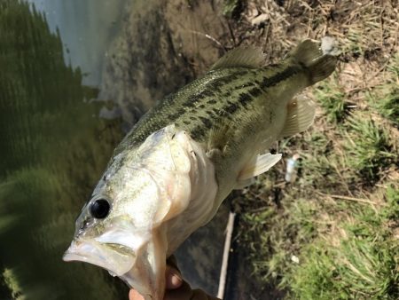 津風呂バス！！