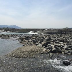 吉野川は最高ダー！