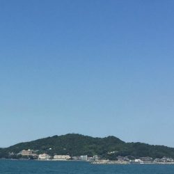 数は伸びたがサイズが…